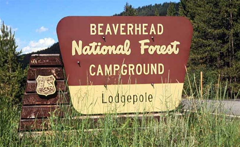 Lodgepole Campground: 