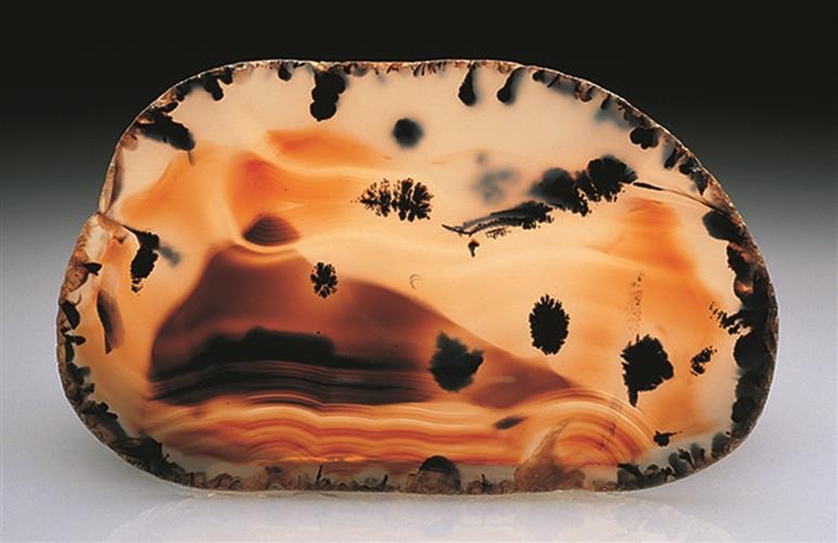 Mineral Museum: 