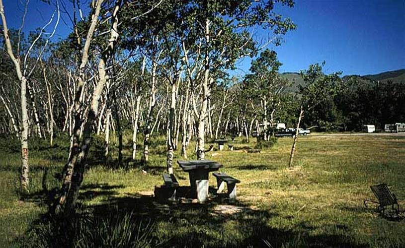 Divide Bridge Campground: campsite