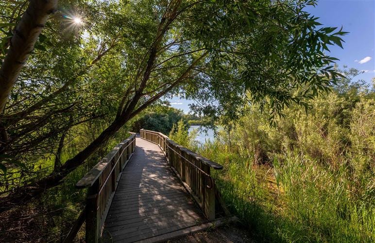 Spring Meadow Lake State Park: 