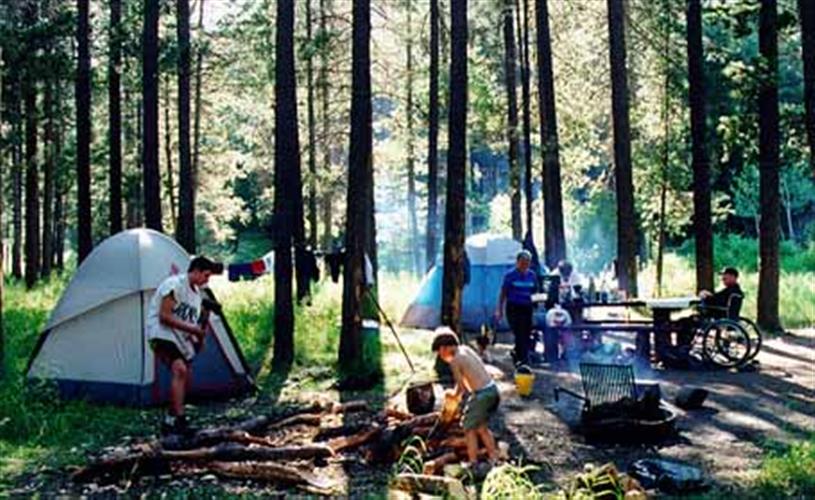Moose Creek Campground: campground