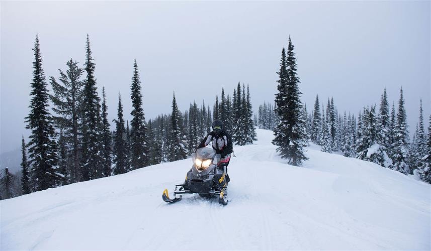 Dalton Pass Road Snowmobile Trail: 