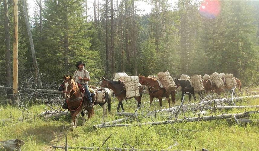 Benchmark Wilderness Guest Ranch: 