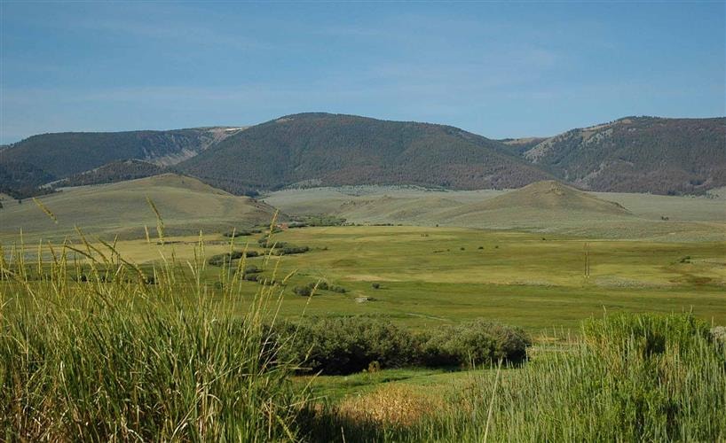 Hildreth Livestock Ranch: 