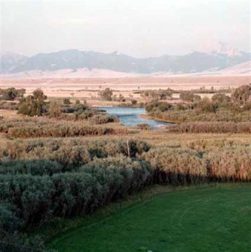 9T9 Ranch B&B: chuck wagon barbeque