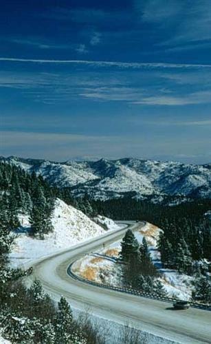 Helena National Forest: 