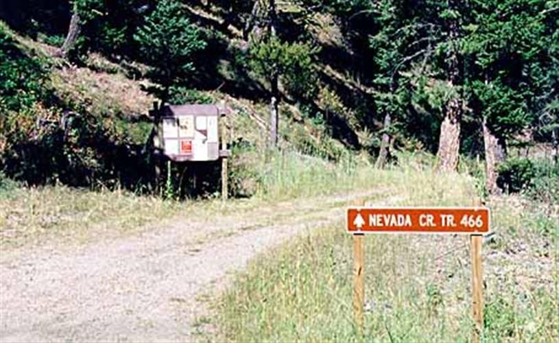 Nevada Creek Trail: 