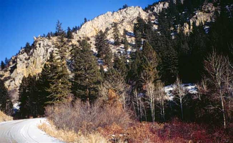 Aspen Grove Campground: 