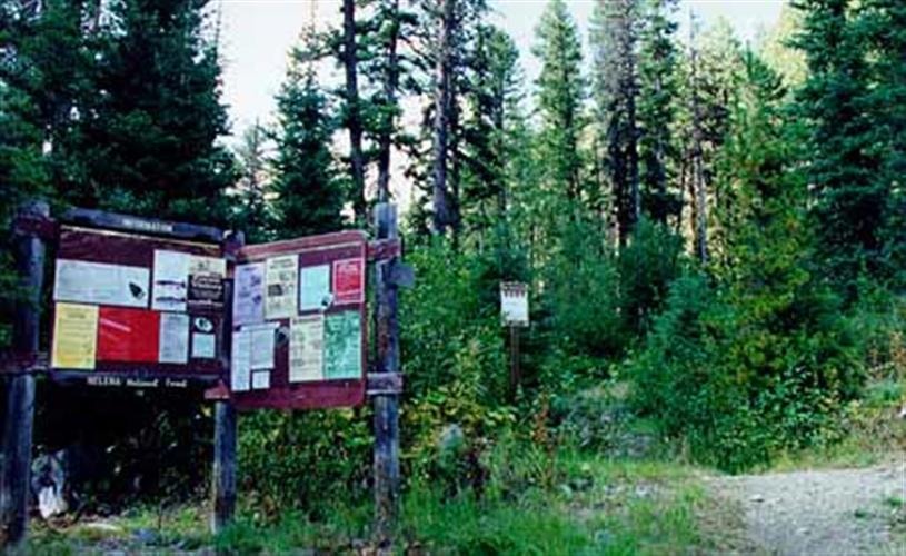 Arrastra Creek Trail: 