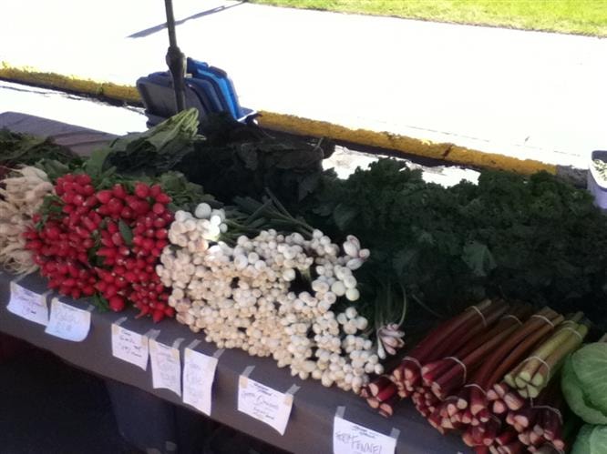 Helena Farmers Market: Helena Farmers Market