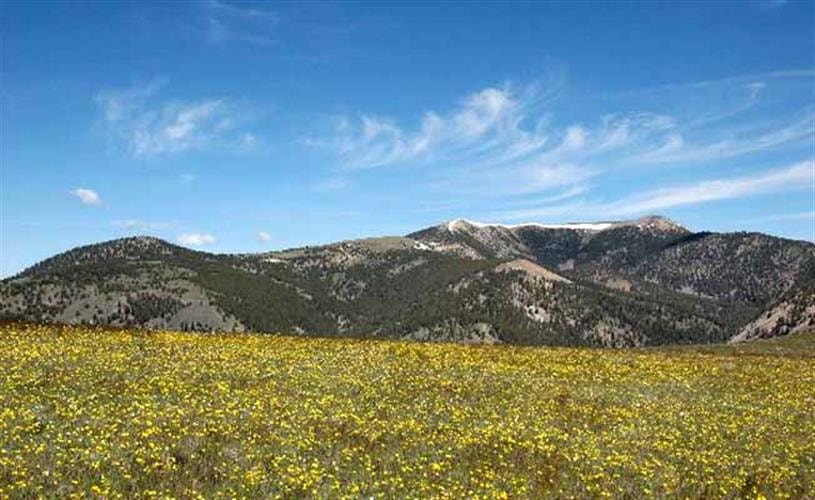 Hildreth Livestock Ranch: summer Continental Divide
