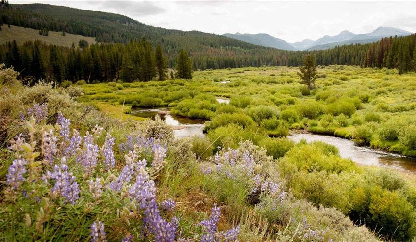 Pioneer Mountains Scenic Byway: 