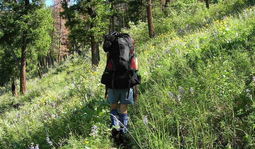 Gates of the Mountains Wilderness Area: 