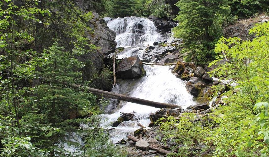 Lost Creek Falls Trail: 