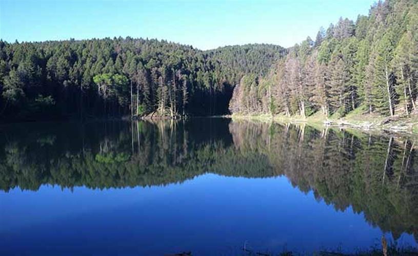 Mountain Elk Hunting Retreat: lake