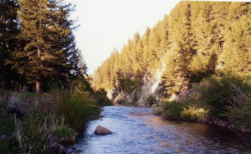 Blackfoot River Inn: river