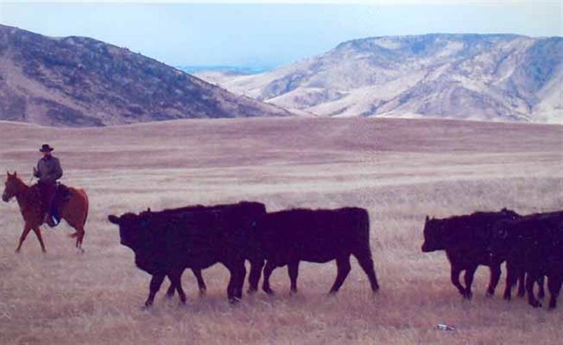 Town Haul Diner: scenic