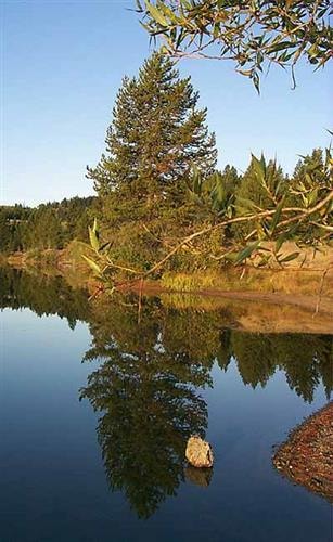 Homestake Lake Recreation Area: Homestake Lake