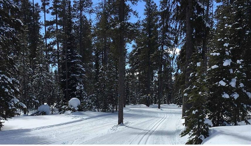 Chief Joseph Cross Country Ski Trail: 