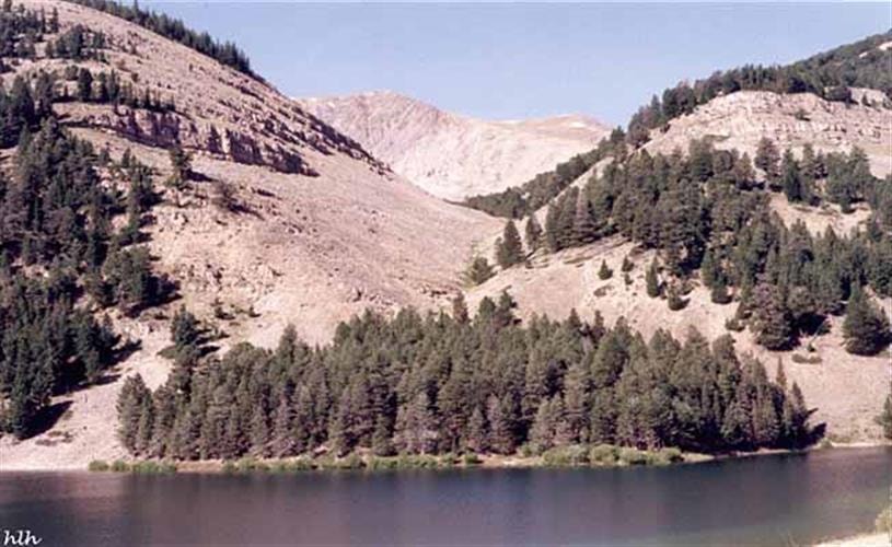 Hildreth Livestock Ranch: Morrison Lake