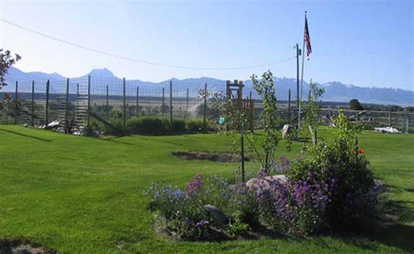 9T9 Ranch B&B: backyard