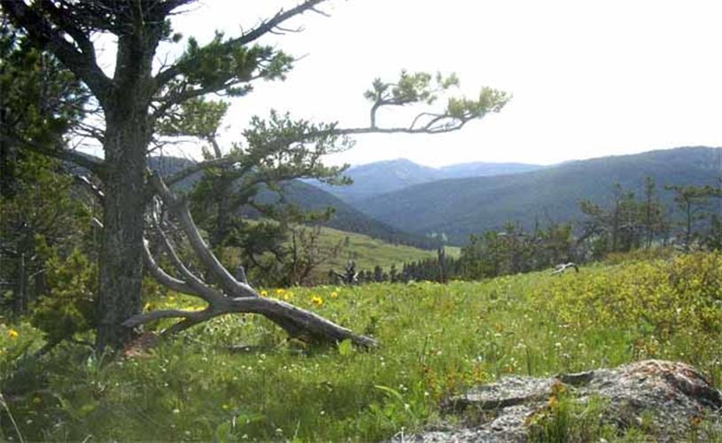 Blacktail Ranch: scenic view