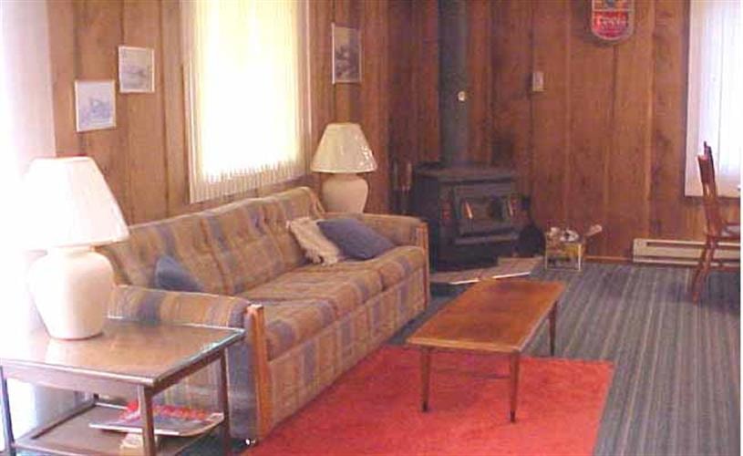 Blackfoot River Cabin: couch