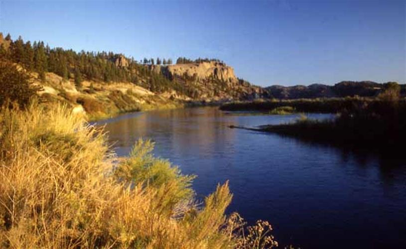 David Payne Outdoors: scenic river