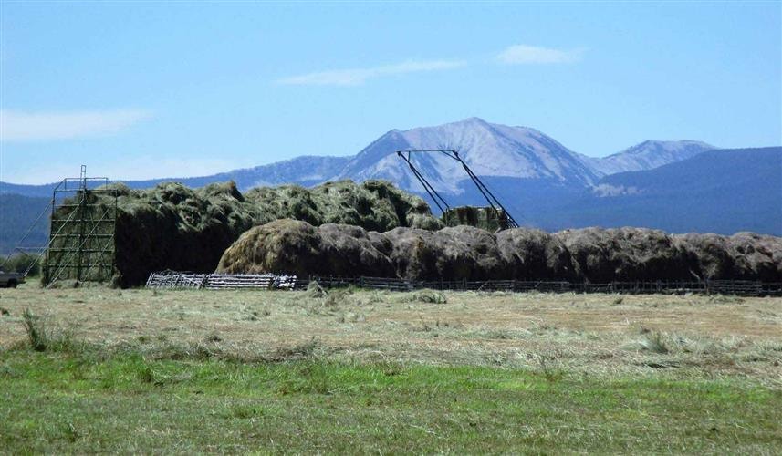 Big Hole River RV Park: 