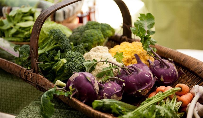 Dillon Farmers Market: 