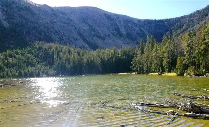 Hildreth Livestock Ranch: 