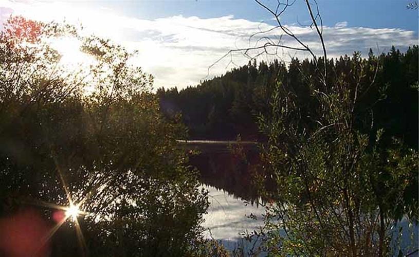 Homestake Lake Recreation Area: lake view