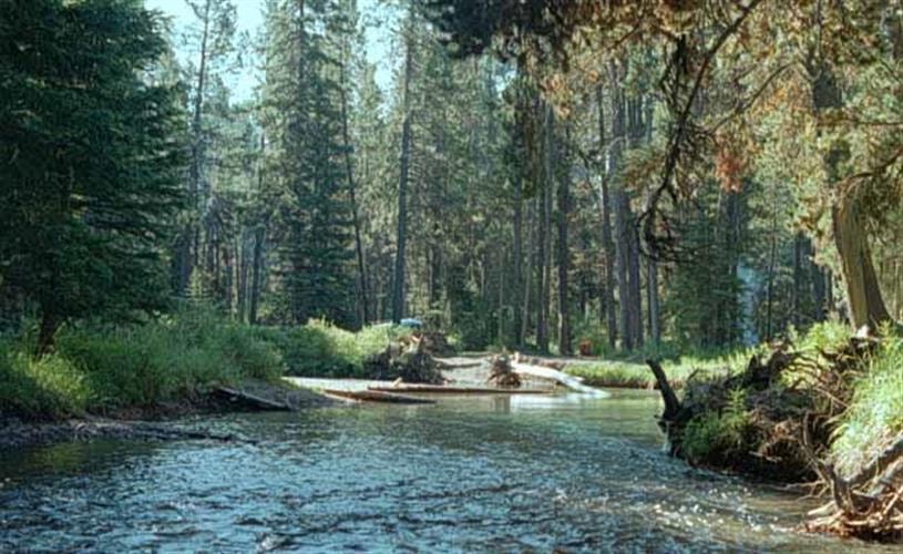 Copper Creek Campground: 