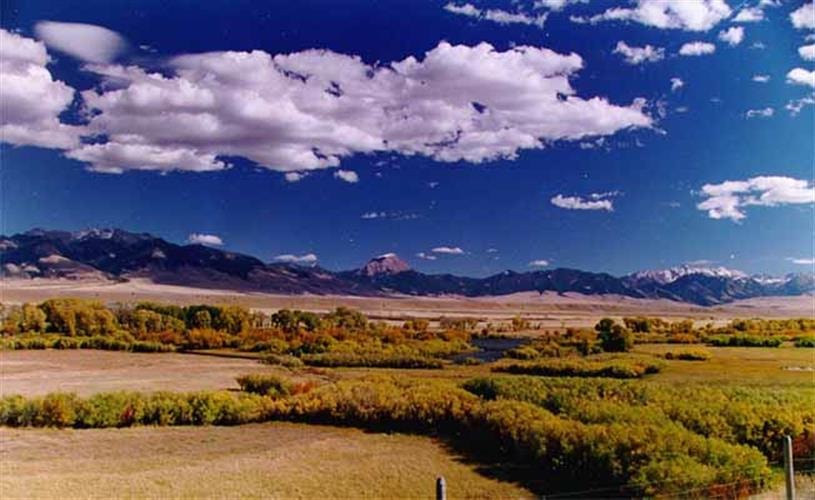 Judy's Table: scenery