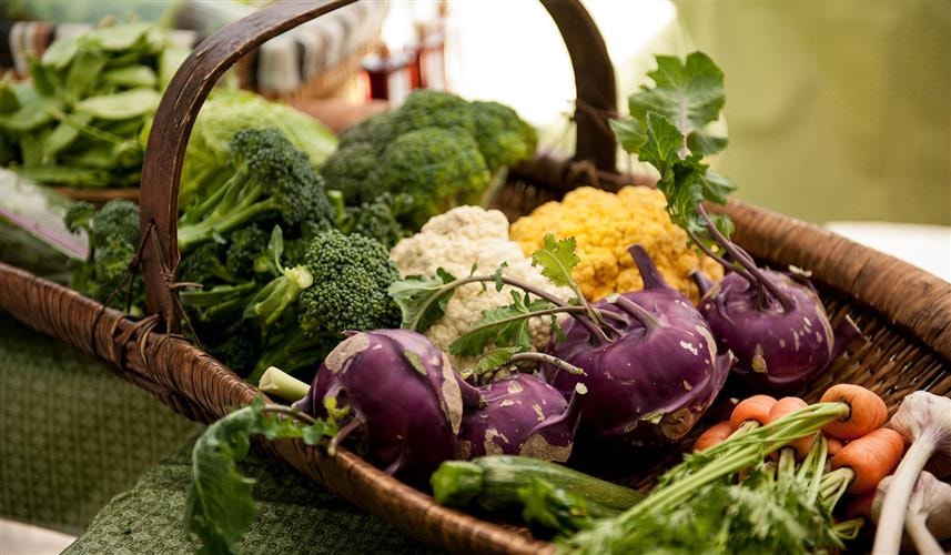 Helena Farmers Market: 