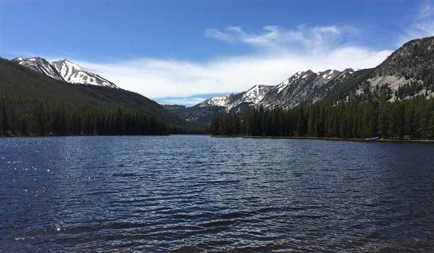 The Bunkhouse Hotel: 