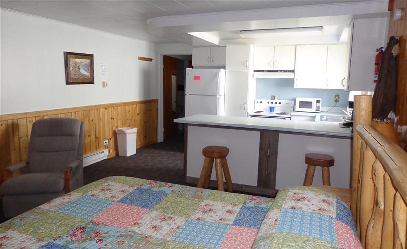 Pioneer Mountain Lodge: 