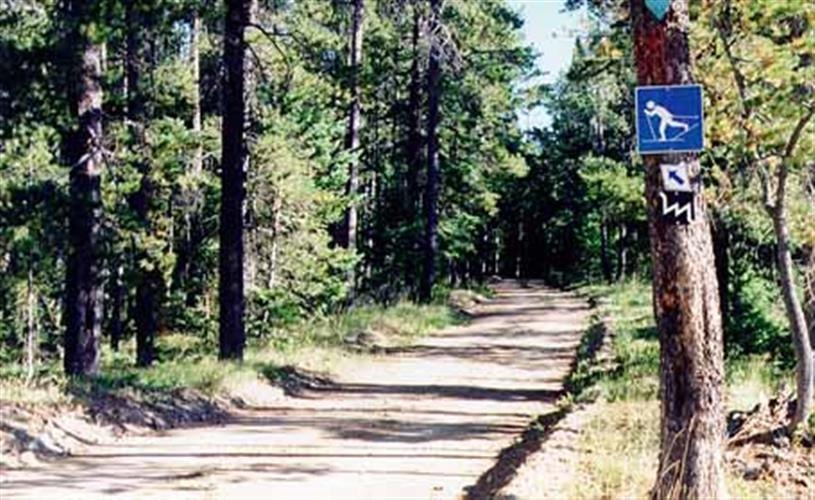 Stemple Pass Ski Trail: 