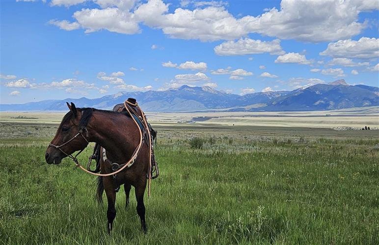 Wolfpack Outfitters Inc: 