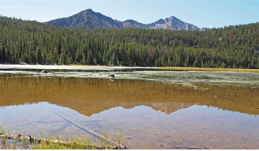 Beaverhead-Deerlodge National Forest: 