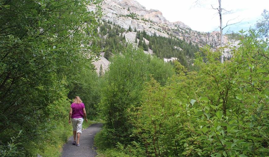 Lost Creek Falls Trail: 