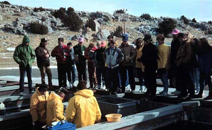 Ennis National Fish Hatchery: visitors