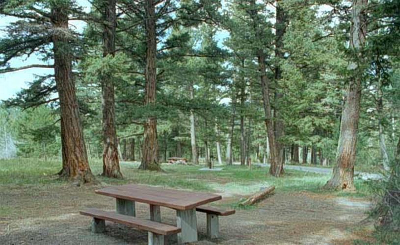 Skidway Campground: 
