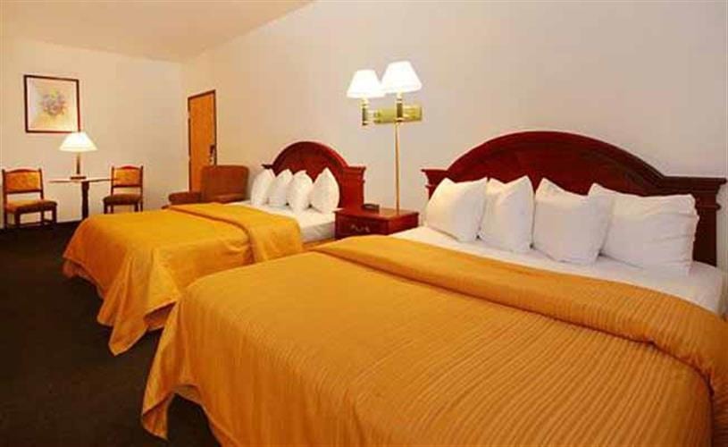 Quality Inn: guest room with queen beds