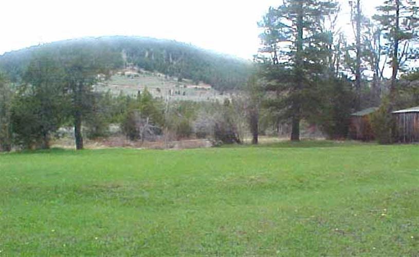 Blackfoot River Cabin: Hillside & grass