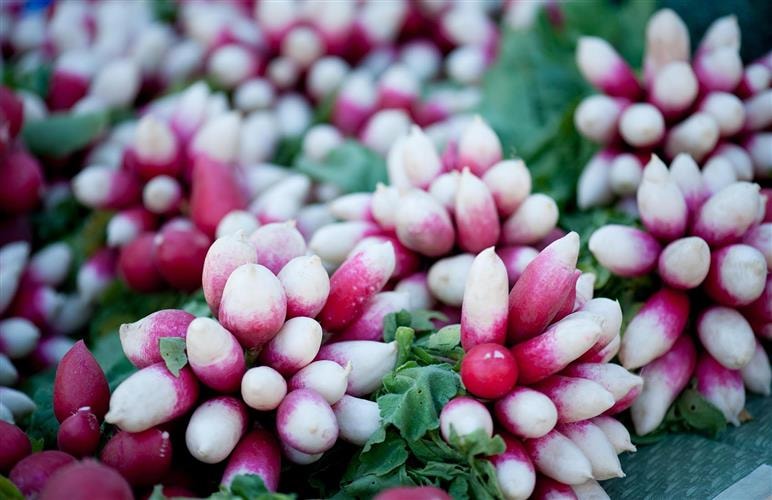 Anaconda Community Market: 