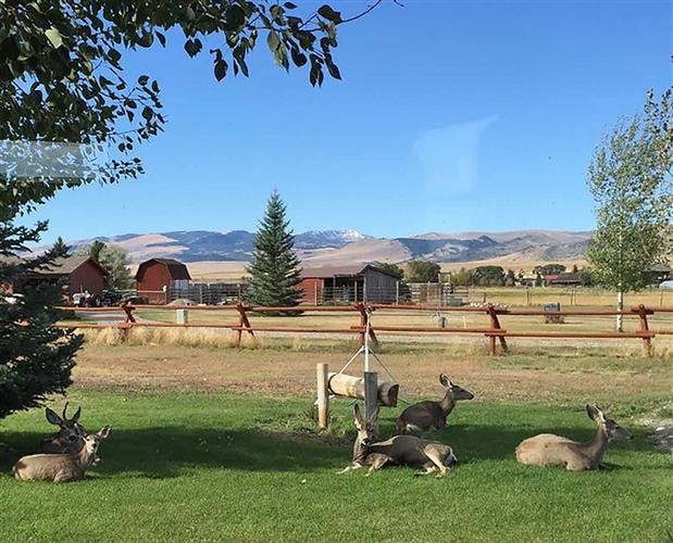 Madison River Angler's Rest and Retreat: 