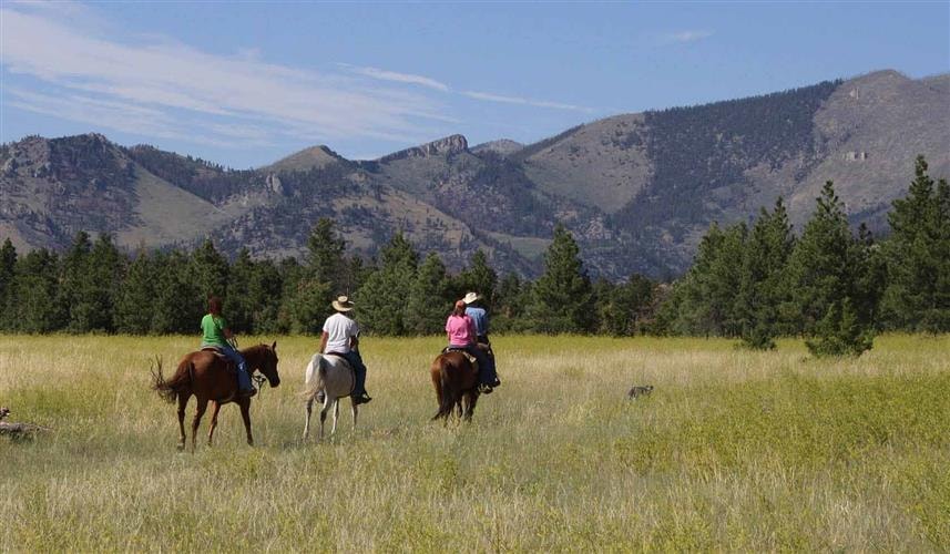 Summer Star Ranch Horseback Rides: 