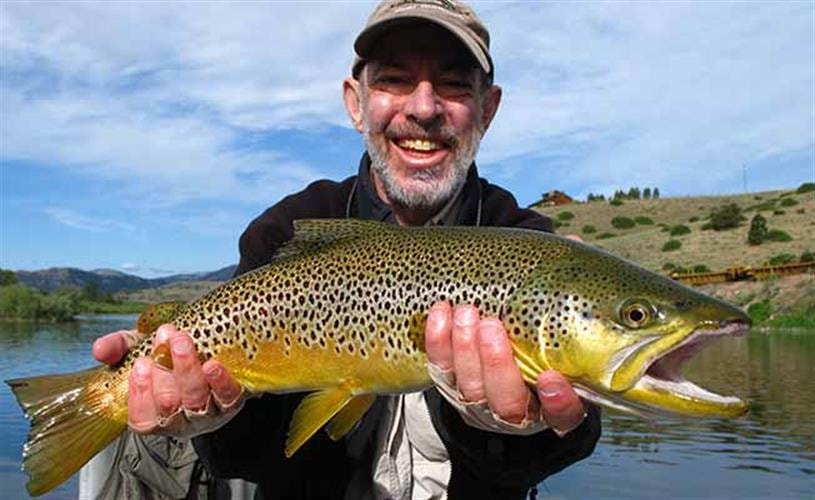 Wolf Creek Angler: trout