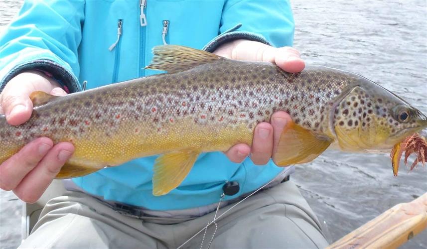 Great Divide Outfitters: 